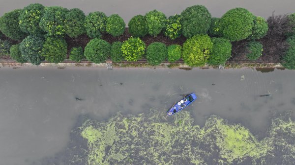 炒股平台配资 四中全会精神在基层 | 记者手记：在大通湖畔感受现代农业新气象
